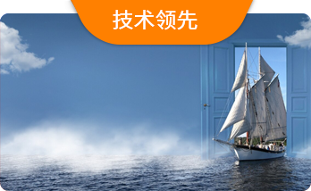 技术领先